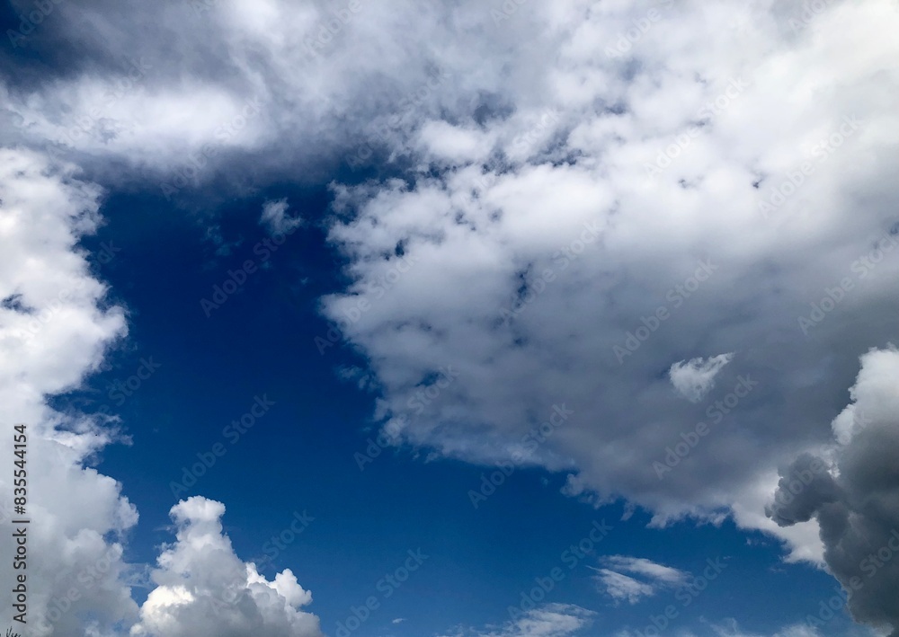 Fototapeta premium beautiful lush clouds on the blue sky