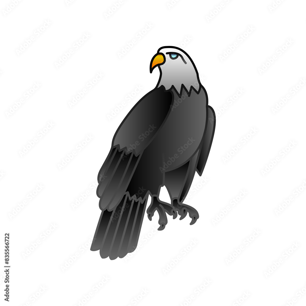 Fototapeta premium Eagle illustration PNG