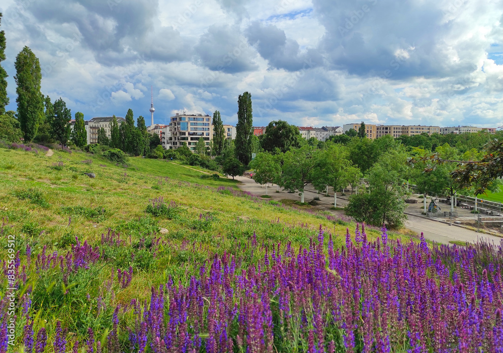 Picturesque spring view of Mauerpark in Berlin, Germany. Situated in