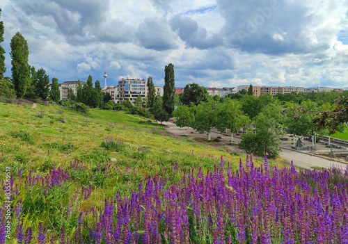Obraz na płótnie Picturesque spring view of Mauerpark in Berlin, Germany. Situated in