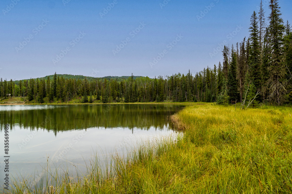 Reflections on lake with forest of spruce trees and mountain in background. Reflections on lake with forest of spruce trees and mountain in background.