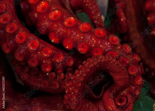 Red octopus tentacles closeup  fish market  Japan