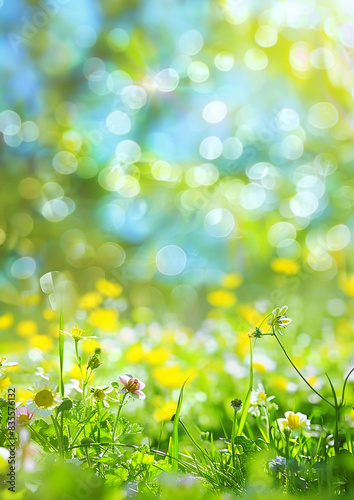 spring meadow background, blurred background, green grass with yellow flowers, blue sky, sunlight, bokeh, digital backdrop for photography, bright and sunny, realistic, high resolution