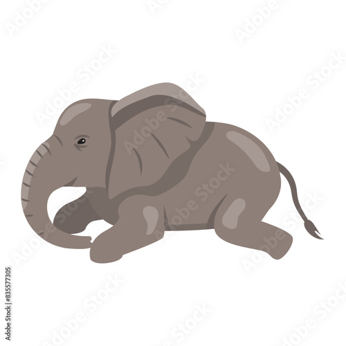 baby elephant resting