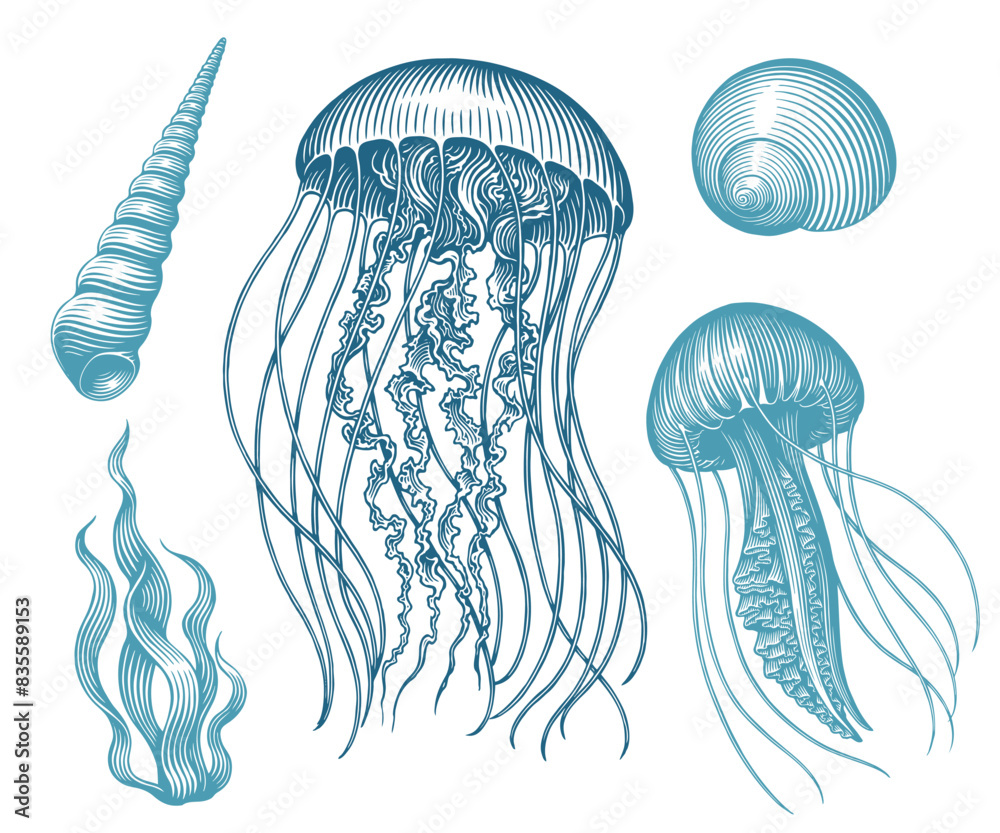 Sea creatures. Design set. Editable hand drawn illustration. Vector vintage engraving. Isolated on white background. 8 EPS Sea creatures. Design set. Editable hand drawn illustration. Vector vintage engraving. Isolated on white background. 8 EPS