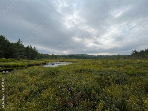 river and clouds