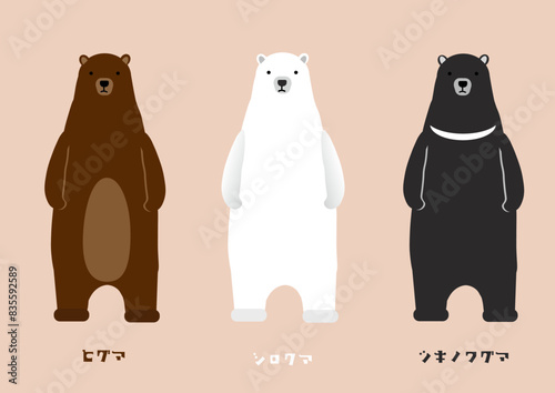 かわいい３種類のクマのイラストセット