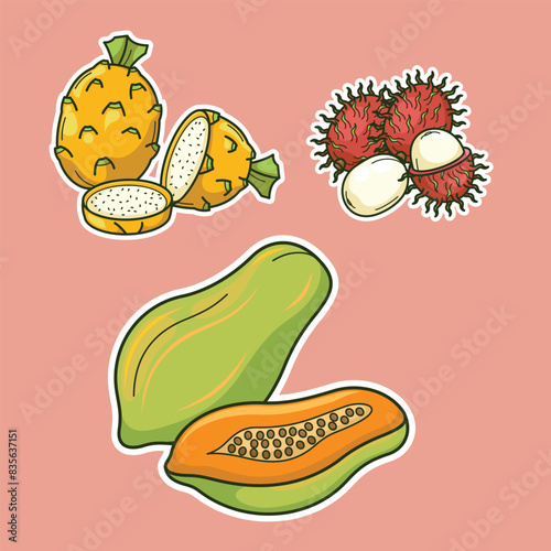 Fresh Colorful Tropical Exotic Fruits Sliced Vector drawing