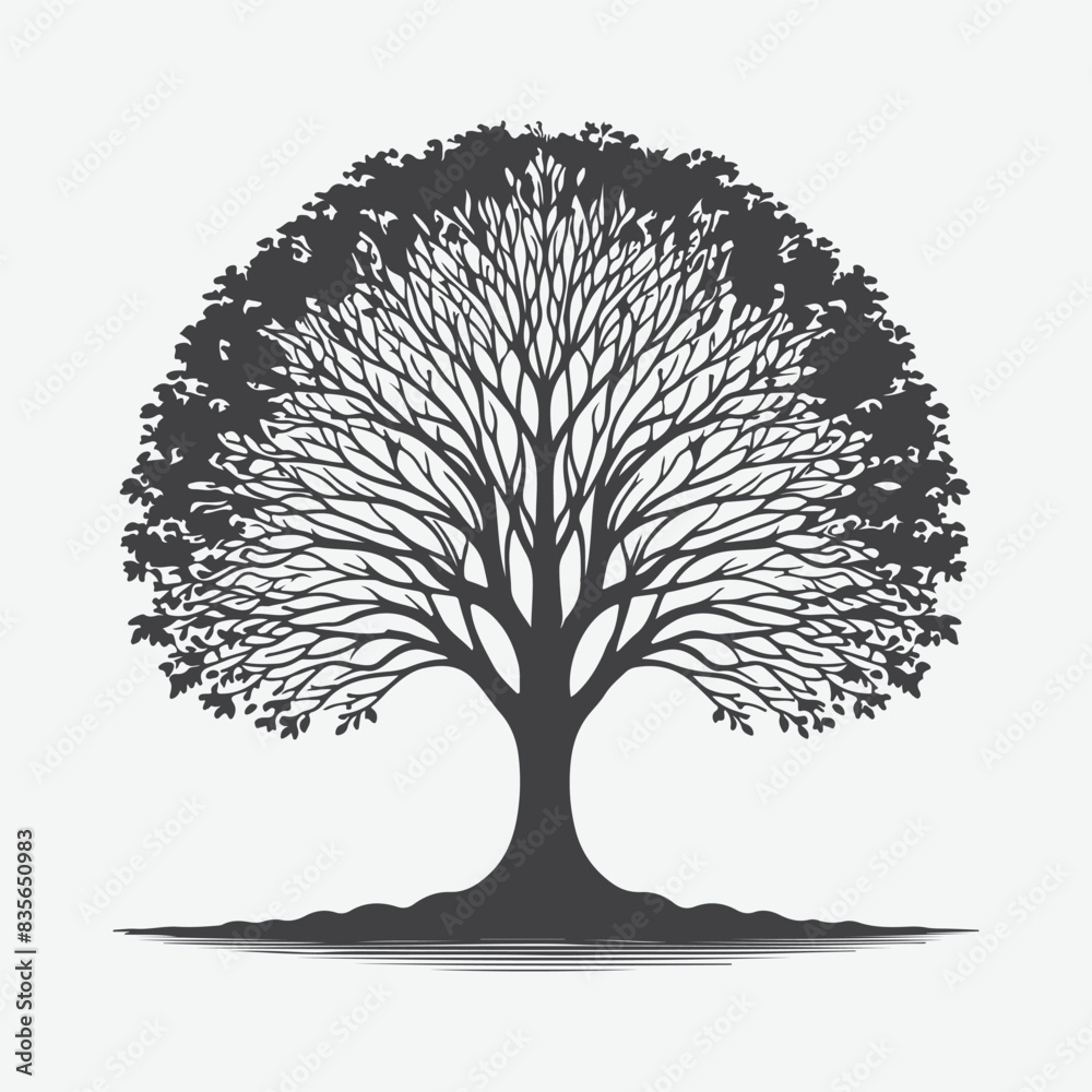 Naklejka premium Print Elegant Silhouette of the Silverbell Tree, A Stunning Natural Masterpiece