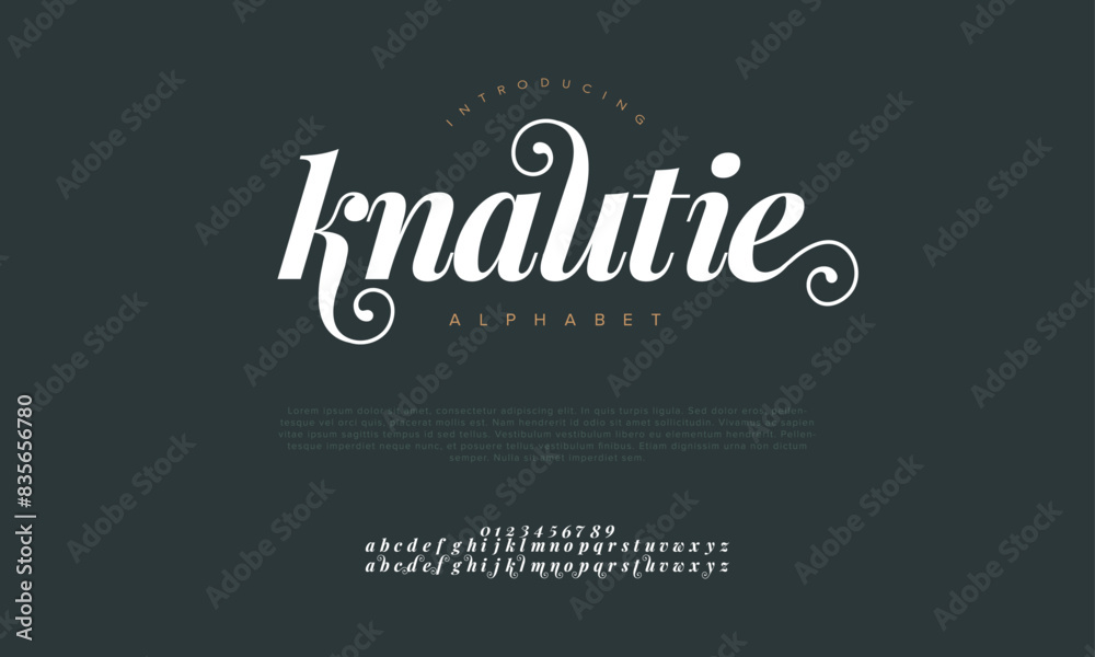 Knaultie premium luxury elegant alphabet letters and numbers. Vintage wedding typography classic serif font decorative vintage retro. creative vector illustration Knaultie premium luxury elegant alphabet letters and numbers. Vintage wedding typography classic serif font decorative vintage retro. creative vector illustration