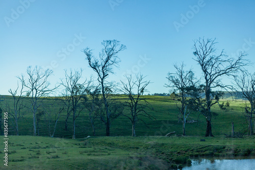 Rolling Hills, New South Wales, Australia