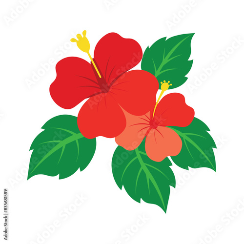 Hibiscus red and green colors flower