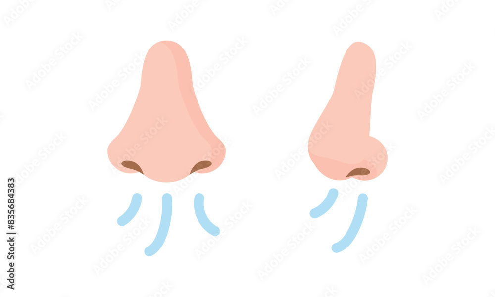 Obraz premium 鼻呼吸