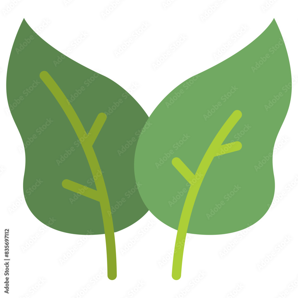 spinach flat icon spinach flat icon