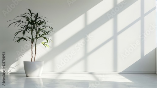 Wallpaper Mural Soft morning sunlight casting gentle shadows on a plain white wall, creating a serene and calming atmosphere. stock photo  Torontodigital.ca