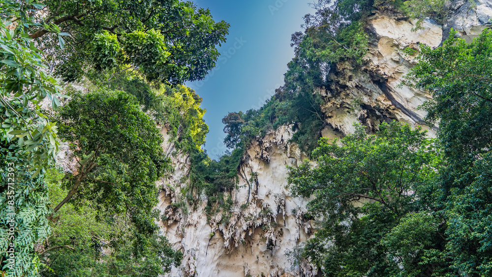 Steep mountains. Bottom view. Hanging stalactites and green vegetation are visible on the limestone slopes. The clear blue sky is framed by foliage. Batu Caves. Malaysia. Kuala Lumpur. Steep mountains. Bottom view. Hanging stalactites and green vegetation are visible on the limestone slopes. The clear blue sky is framed by foliage. Batu Caves. Malaysia. Kuala Lumpur.