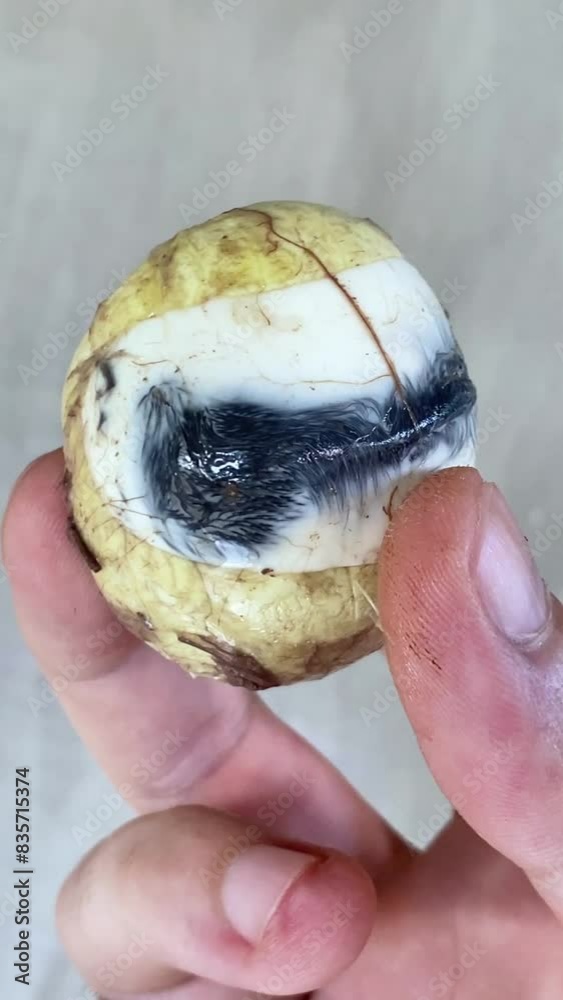 balut. Duck egg with embryo, traditional Asian food in the Philippines ...