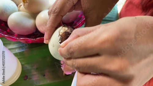 deshelling a duck egg with an embryo. Traditional Asian food balut