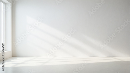 Minimalistic light background with shadow on white wall