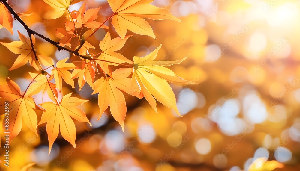 Vibrant foliage background, autumn park Vibrant foliage background, autumn park