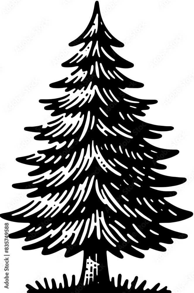 Douglas Fir Tree icon 13 Douglas Fir Tree icon 13