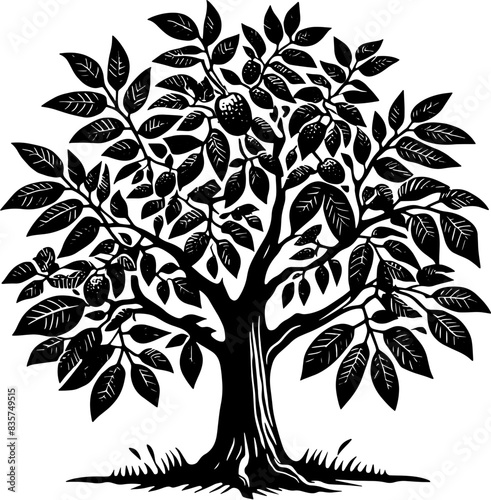 Eastern Black Walnut Tree icon 1