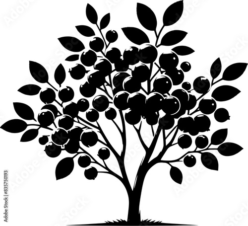 Chokecherry Tree icon 4