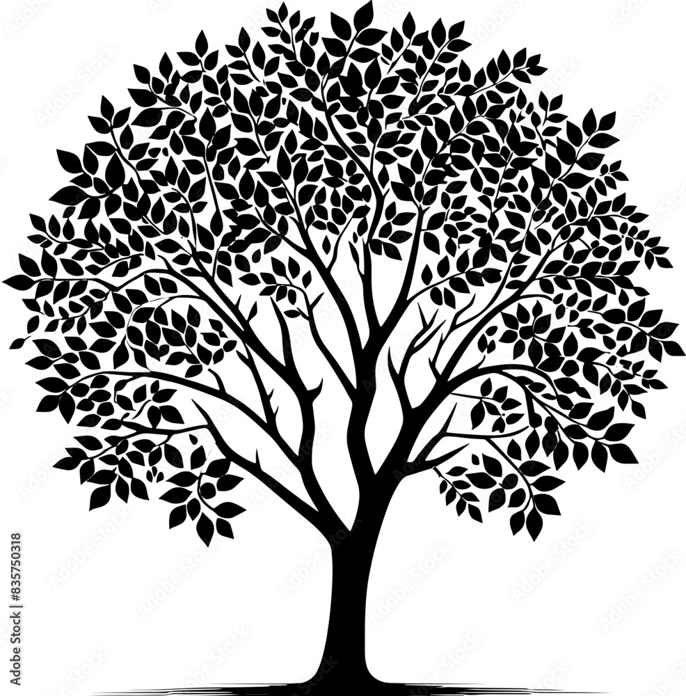 Obraz premium Chinaberry Tree icon 12