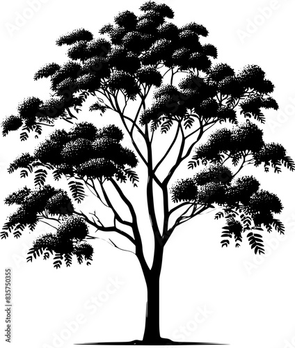Chinaberry Tree icon 9