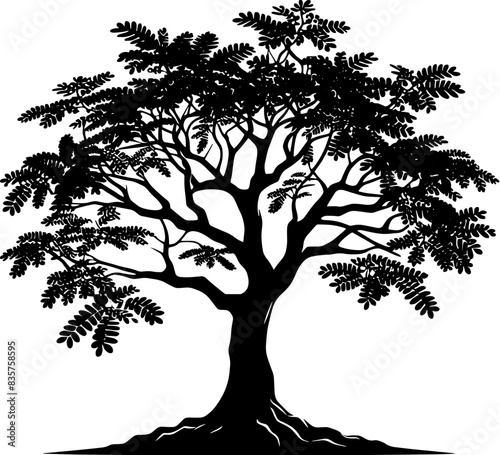 Carob Tree icon 1