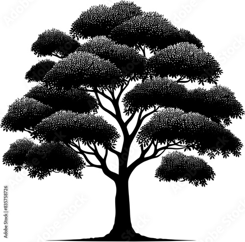 Camphor Tree icon 5
