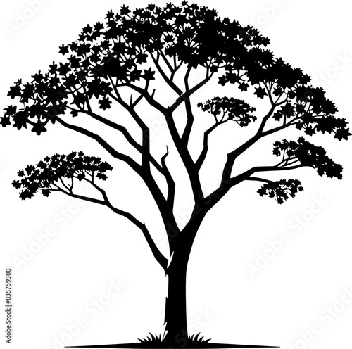 Blue Jacaranda Tree icon 12