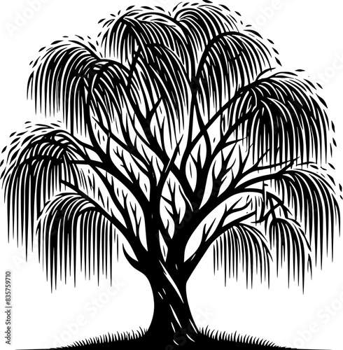 Black Willow Tree icon 15