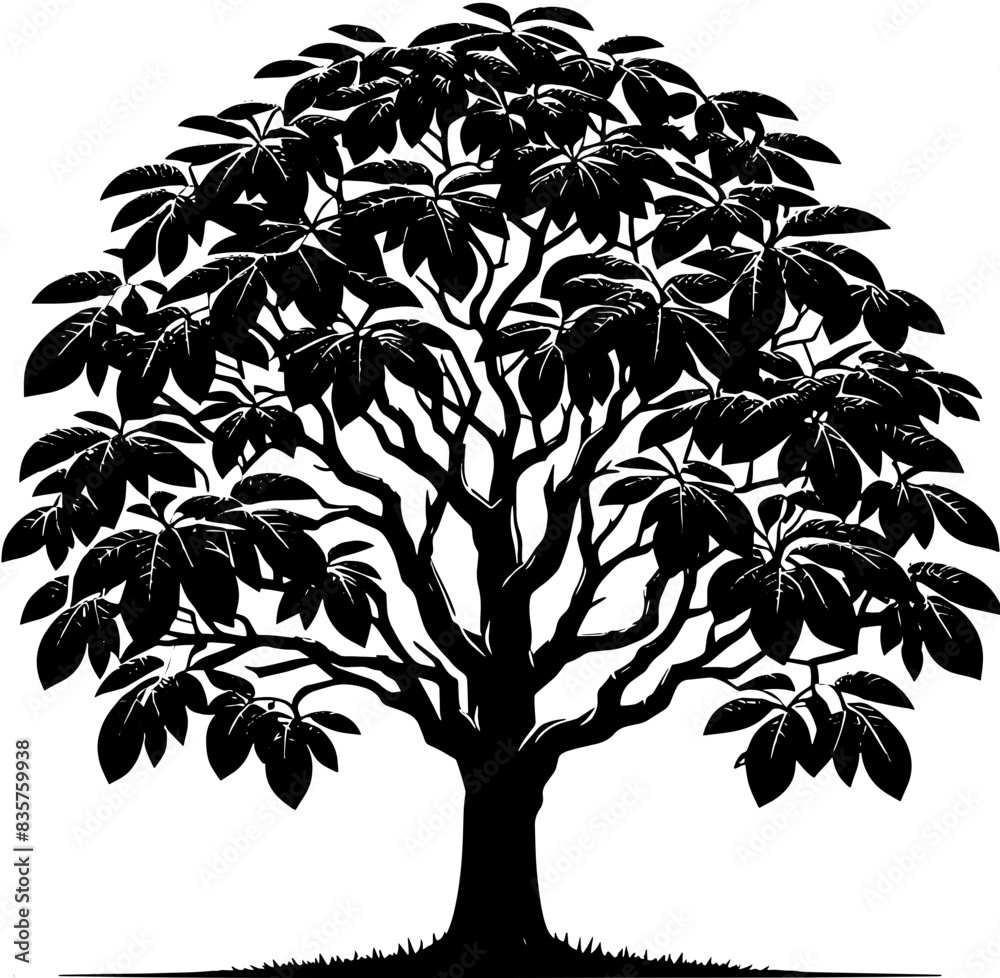 Obraz premium Black Walnut Tree icon 4