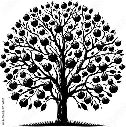 Black Walnut Tree icon 7