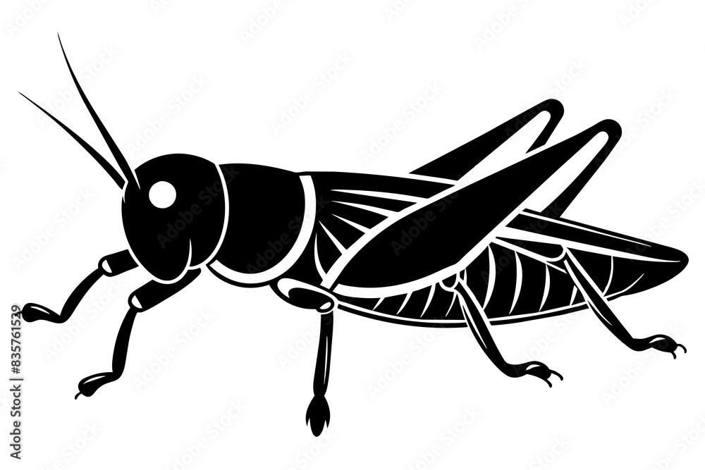 grasshopper silhouette vector illustration grasshopper silhouette vector illustration
