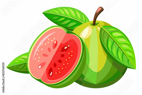 guava fruit vector illustration