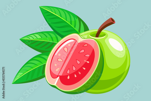 guava fruit vector illustration