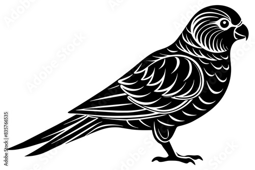 parakeet bird silhouette vector illustration