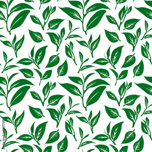green leaves vector pattern background. Green tea leaf seamless pattern. tea leaves pattern background. seamless patterns with green leaves  of tea. 