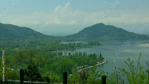 Tulip garden nishat srinagar kashmir india, beautiful colorful flowers, tuliping in april month Clip 96 photo