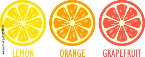 Lemon orange and grapefruit slice vector icon photo