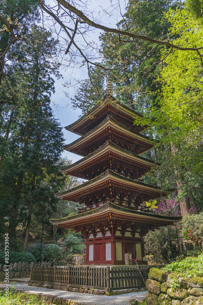奈良 室生寺 新緑に包まれた五重塔 奈良 室生寺 新緑に包まれた五重塔
