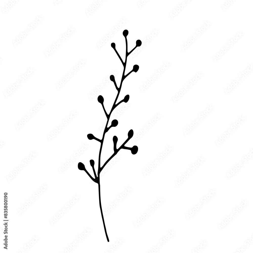 Abstract Doodle Line Art Floral Botanical Abstract Doodle Line Art Floral Botanical