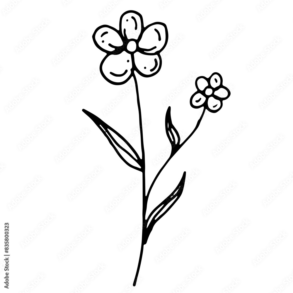 Abstract Floral Botanical Line Art Hand Drawn Abstract Floral Botanical Line Art Hand Drawn