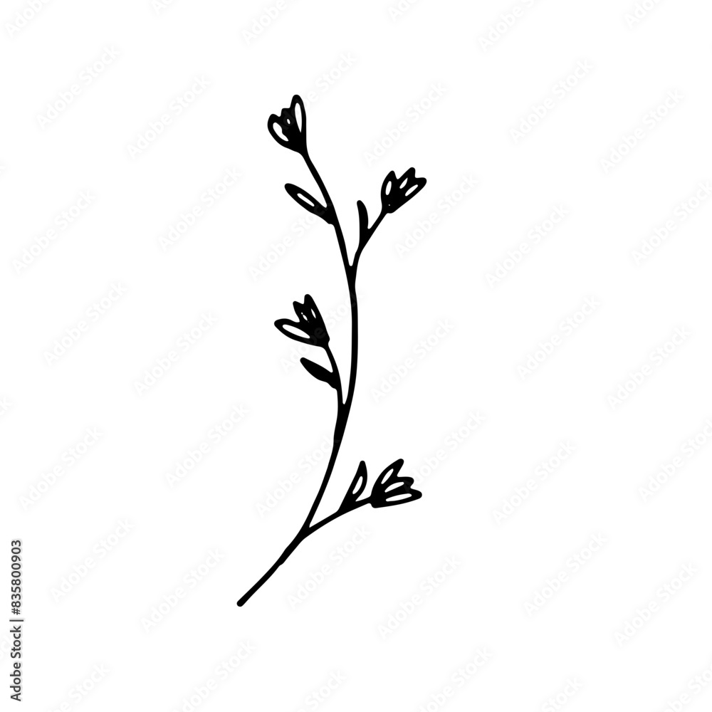 Abstract Doodle Line Art Floral Botanical Abstract Doodle Line Art Floral Botanical