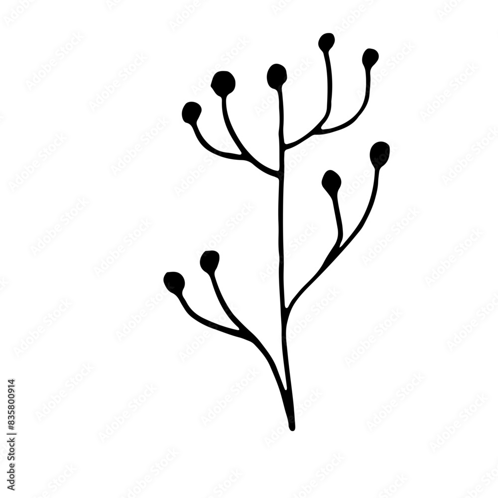 Abstract Doodle Line Art Floral Botanical Abstract Doodle Line Art Floral Botanical