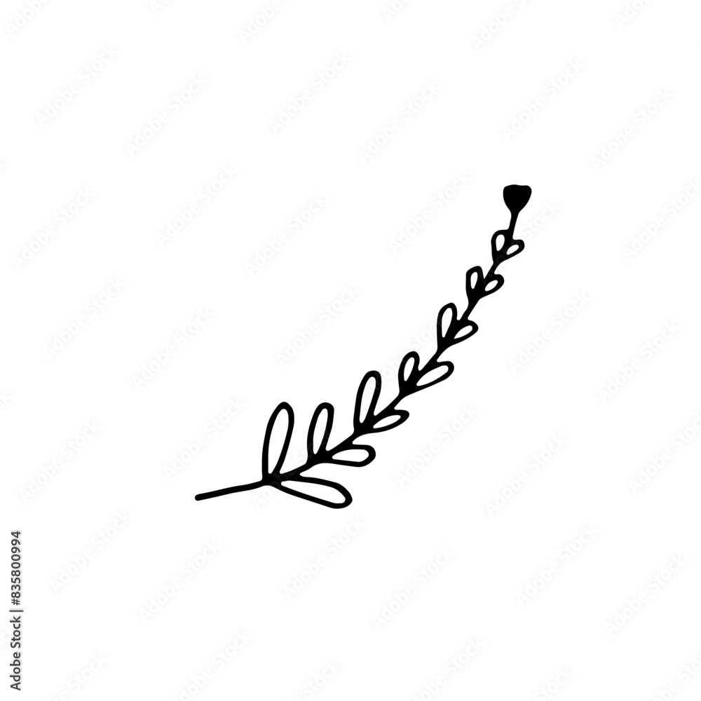 Abstract Floral Botanical illustration Doodle Hand Drawn Line Art Abstract Floral Botanical illustration Doodle Hand Drawn Line Art