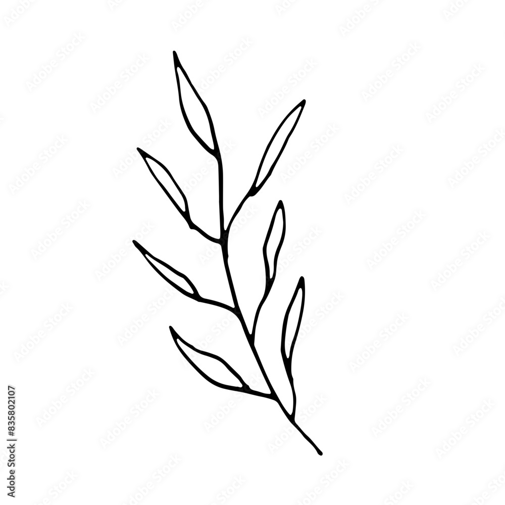 Floral Botanical Abstract Doodle Hand Drawn Line Art Floral Botanical Abstract Doodle Hand Drawn Line Art