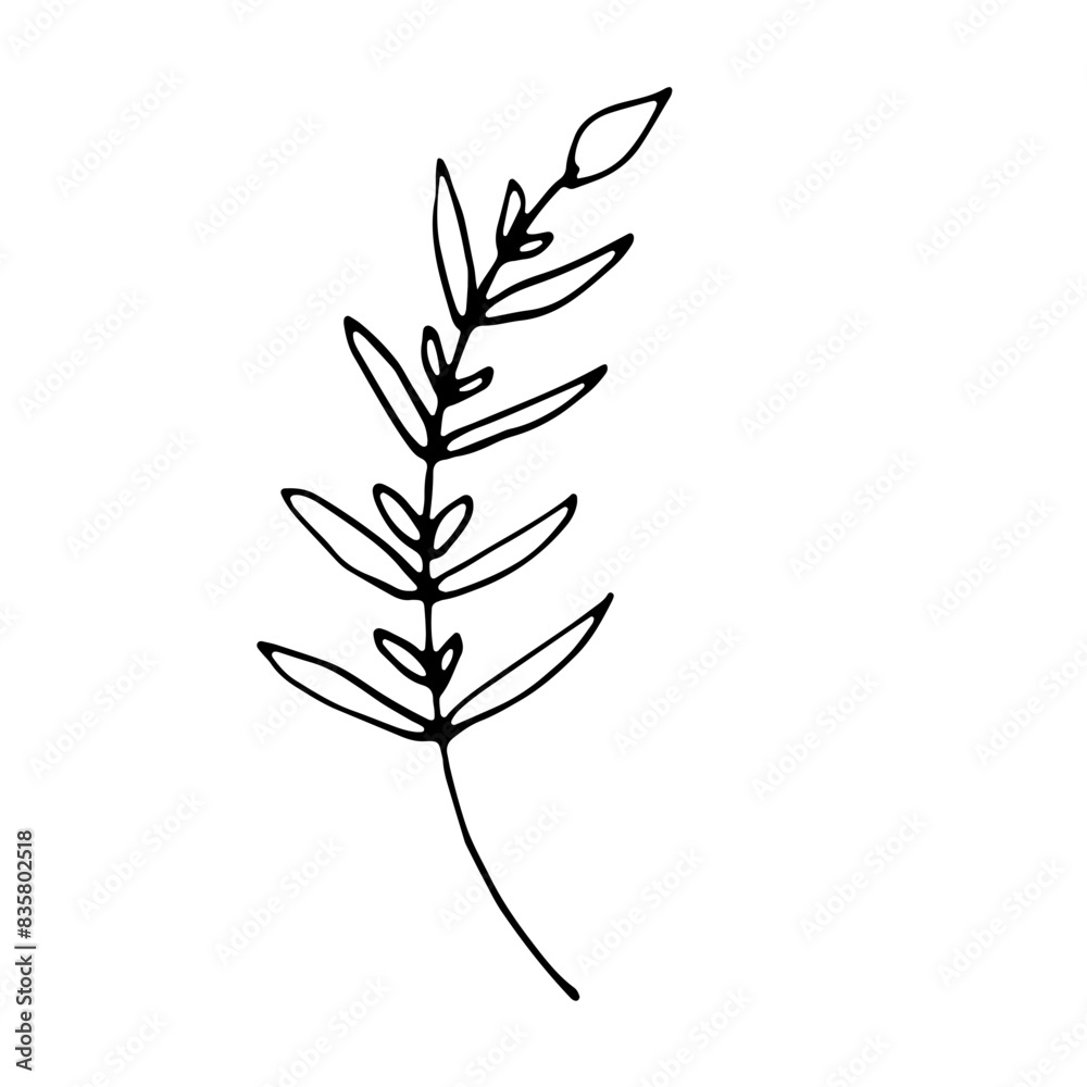 Abstract Doodle Line Art Hand Drawn Sticker Floral Botanical Abstract Doodle Line Art Hand Drawn Sticker Floral Botanical